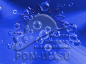 pom-04.jpg